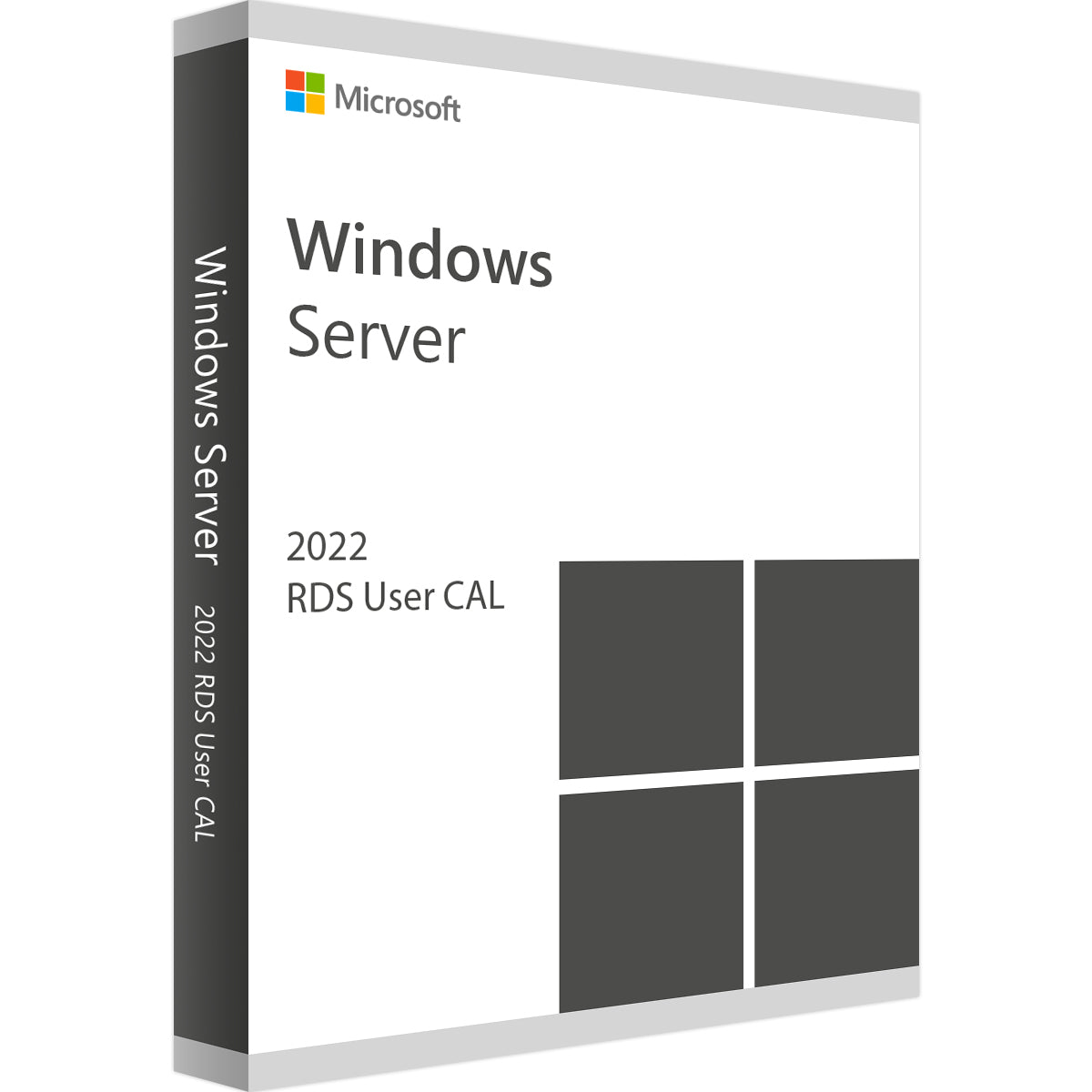 Windows Server RDS User CAL 2022