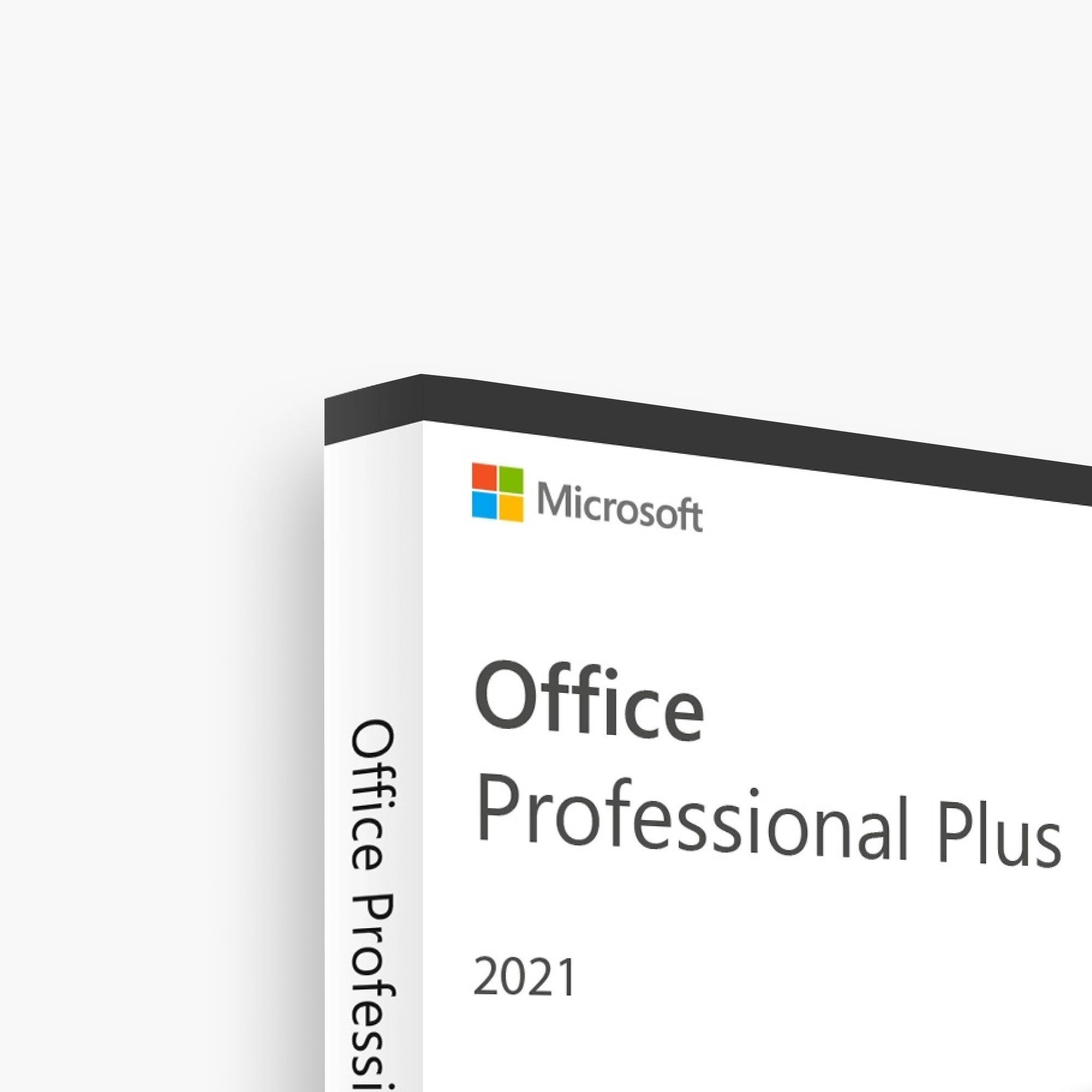 Microsoft Office 2021 Professional Plus